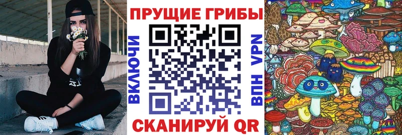 цены   Тарко-Сале  Псилоцибиновые грибы мухоморы 